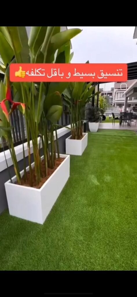 whatsapp image 2025 10 29 at 2.42.16 am