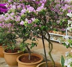 ززززززززززززززززززززززززززززززززززززززززززززززززززززز