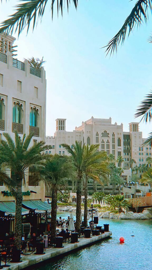 افضل شركة قص اشجار الكويت للايجار01011506101 image